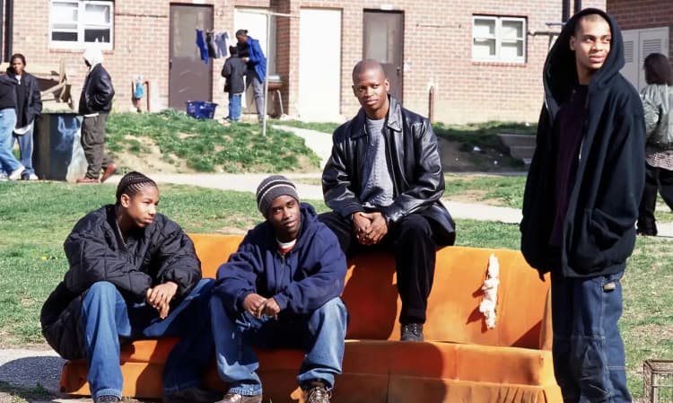The Wire Guardian